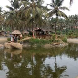 Eco-Tourism in Nilambur: An Overview of Nature and Sustainable Travel
