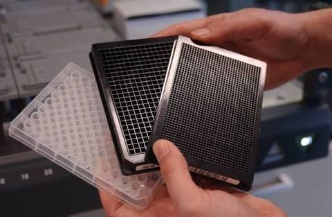 Microplates Overview: Types, Applications, and Laboratory Uses